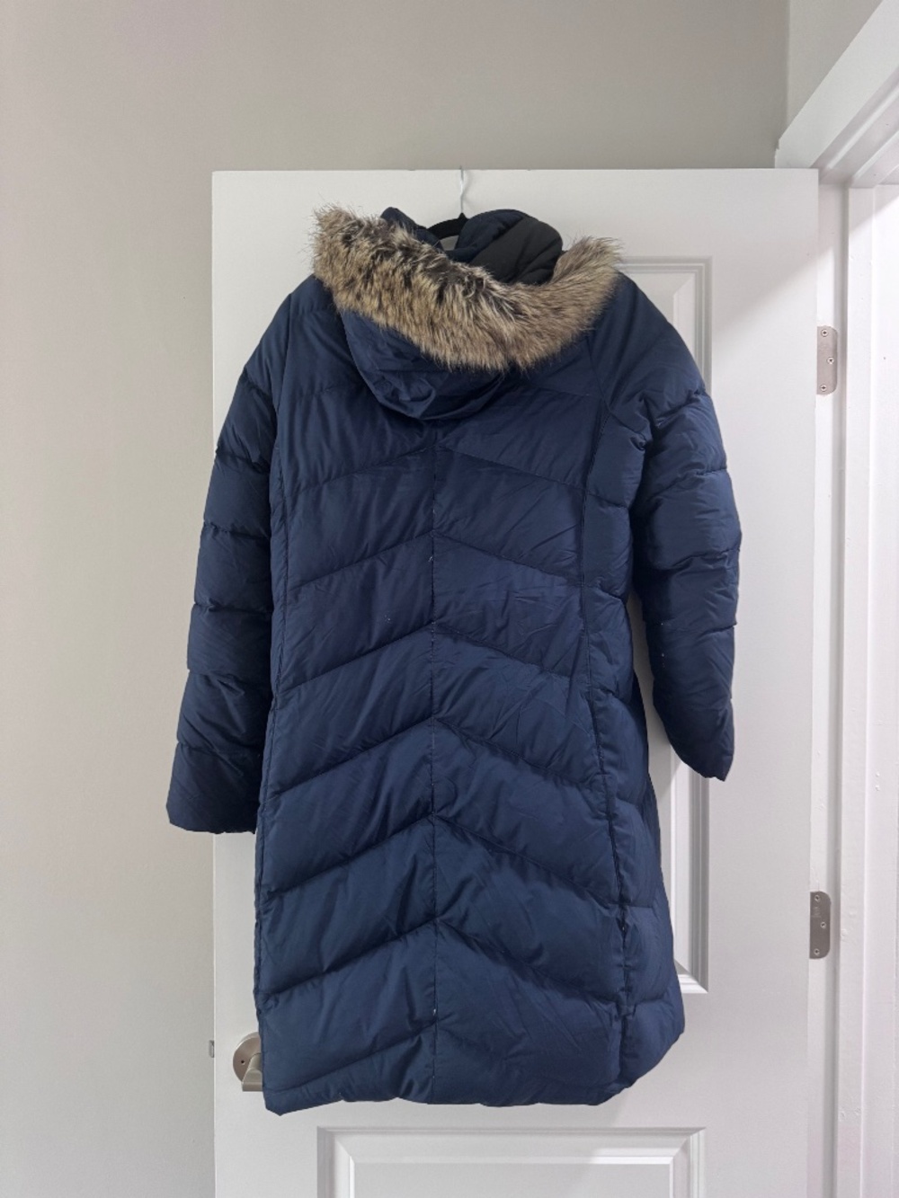 Marmot puffer